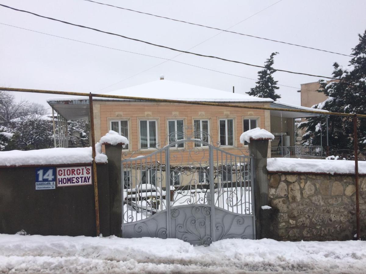 Giorgi'S Homestay 쿠타이시 외부 사진